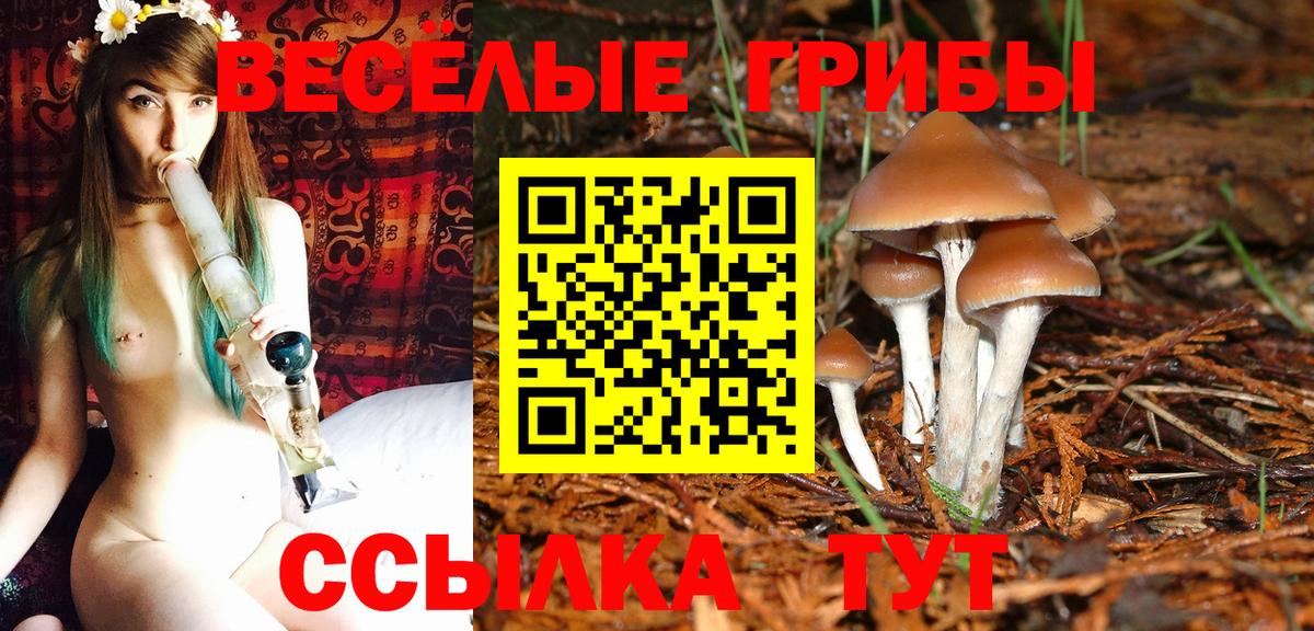 Галлюциногенные грибы Magic Shrooms  Галлюциногенные грибы Psilocybine cubensis  Урай  Вход с VPN 